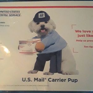 Dog U.S. mail carrier costume